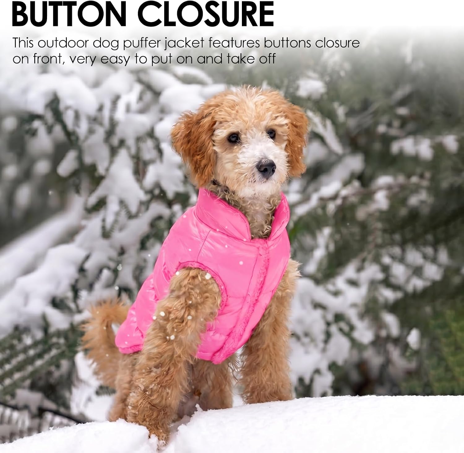 Detalle de AOFITEE Dog Jacket XL