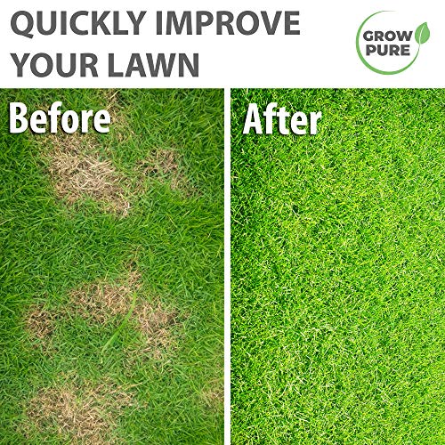 Thumbnail 1 de Grow Pure Grass Seed (1kg) — Quick Patch and New Lawn Solution, UK Climate