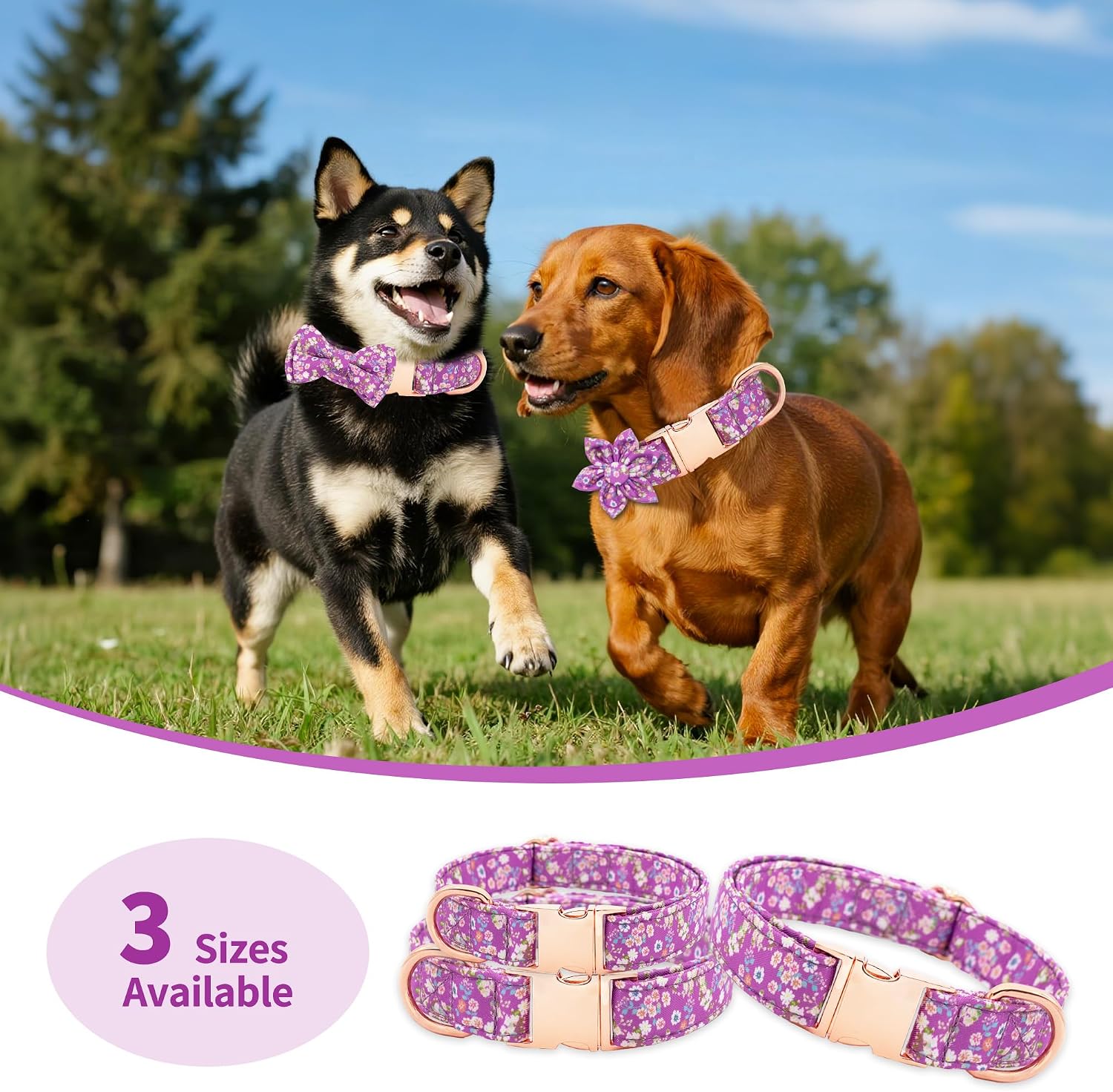 Thumbnail 6 de Dote on Dog Collar Set Purple S