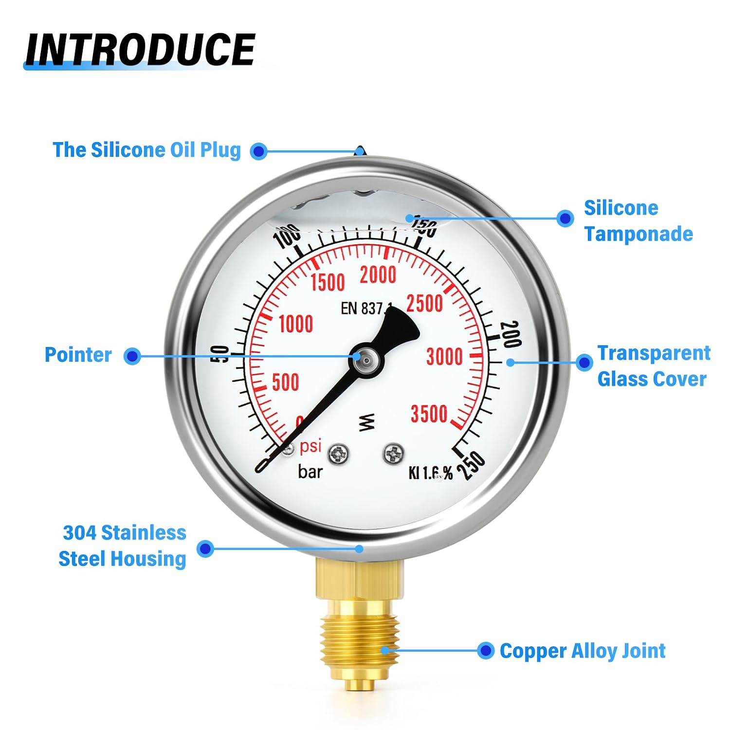 Detalle de TAILONZ Pneumatic Flüssigkeitsgefülltes Manometer Edelstahl 0-250 bar | 1/4" BSP | 2,5" Zifferblatt