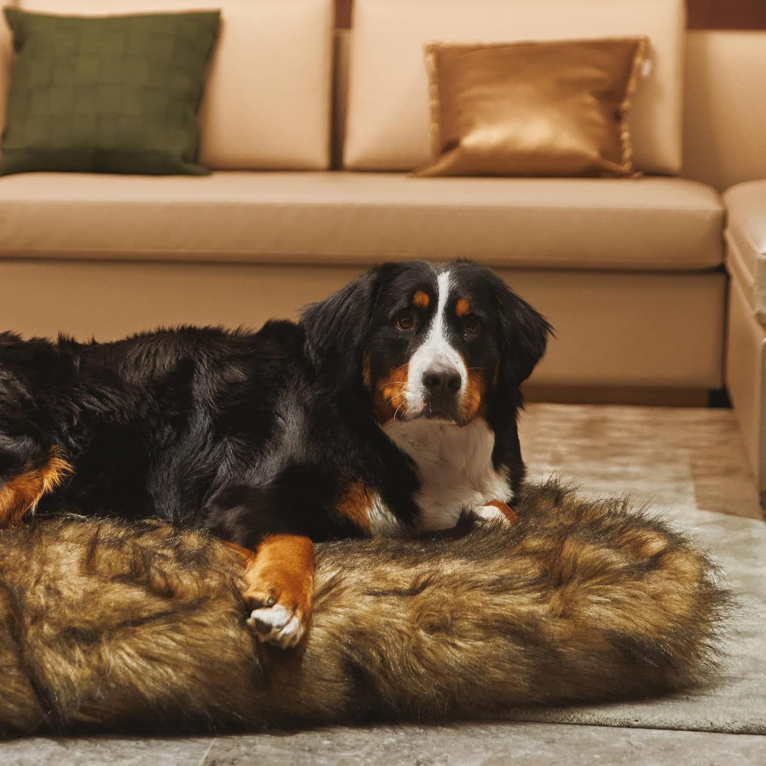 Thumbnail 5 de Laifug memory foam dog bed