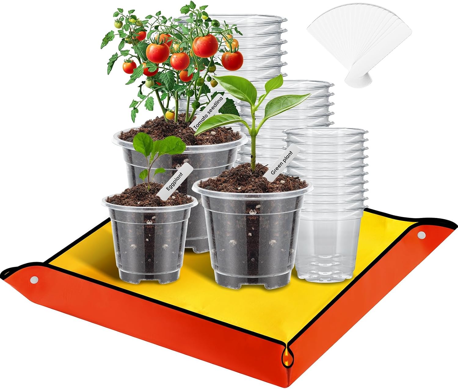 Detalle de Mactoou Anzuchttöpfe Set 30 Stück für Orchideen