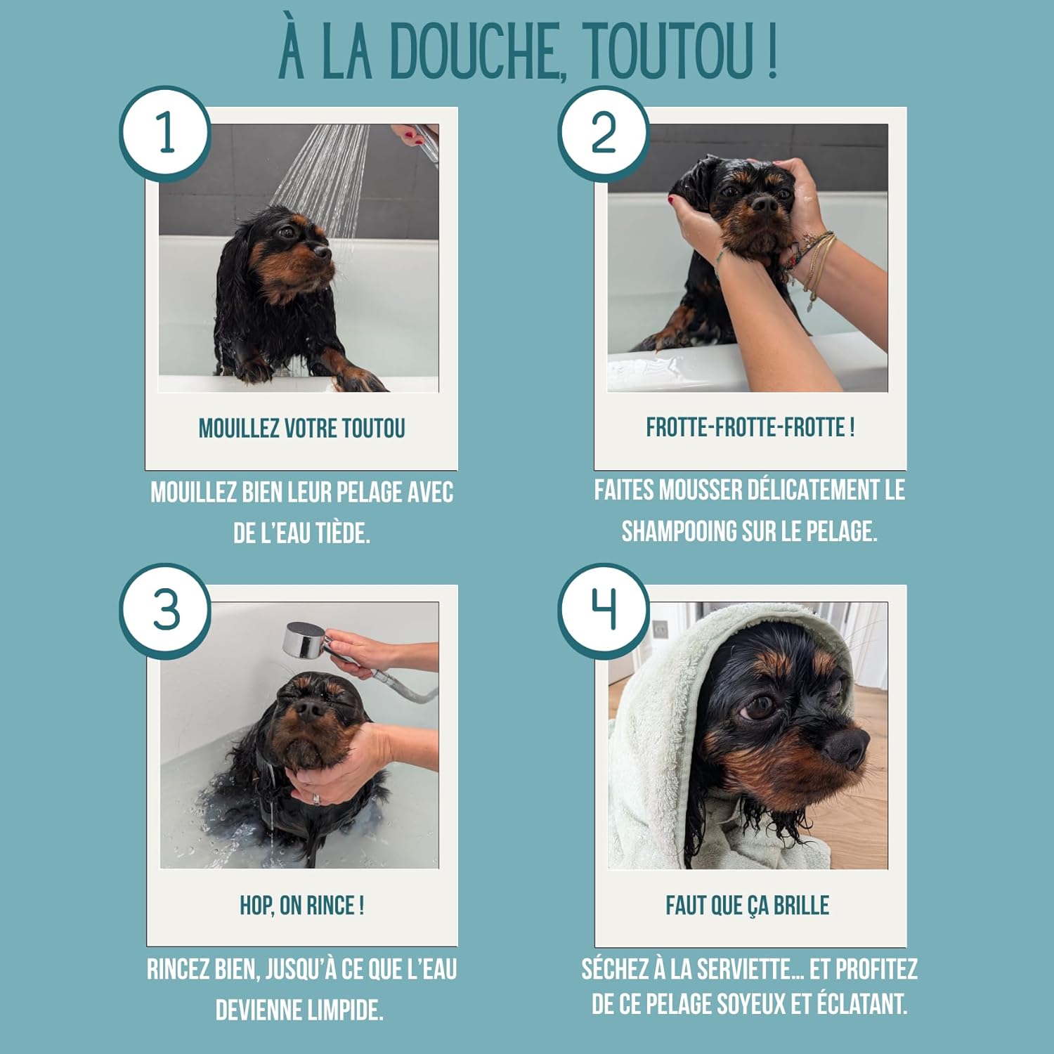 Detalle de Shampoing Chien Bio Aloe Vera & Avoine – Anti-odeur, Peau sensible, Vegan, 300 ml