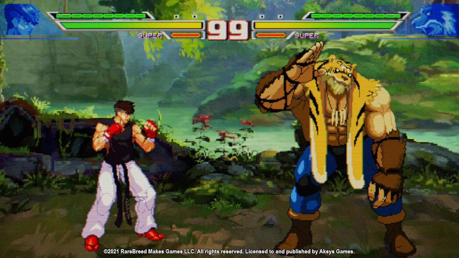 Detalle de Blazing Strike PS4 Limited Edition 2D fighter