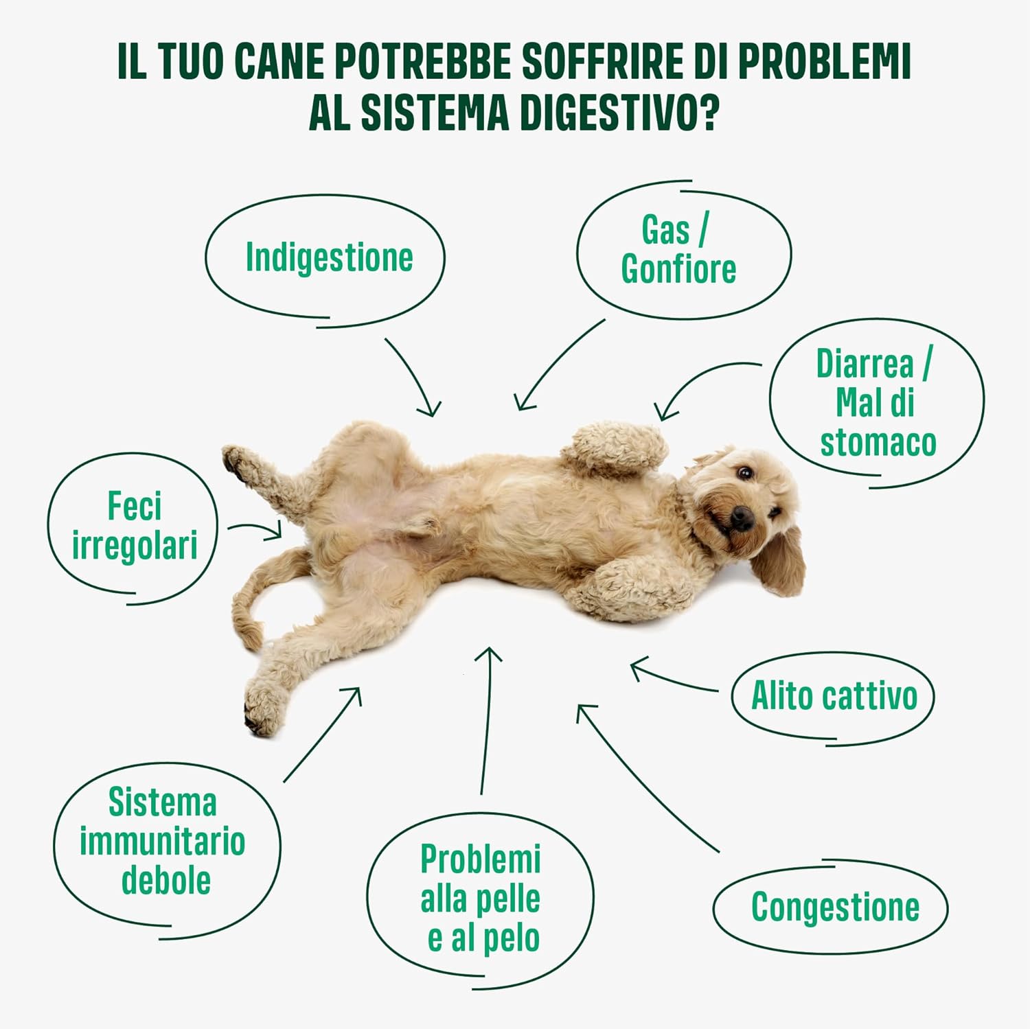 Detalle de ivvi Probiotic per cani in bocconcini al pollo (60 snack) per flora intestinale, digestione e sistema immunitario