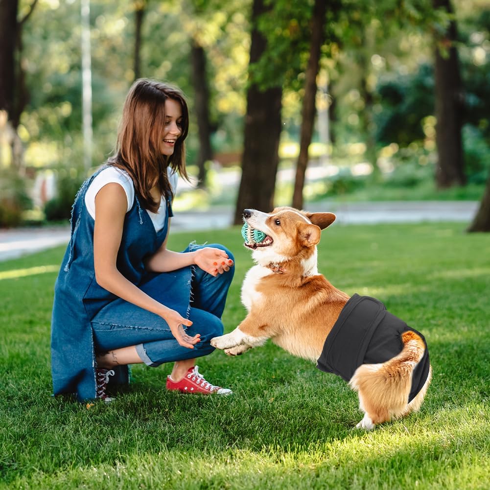 Detalle de Aomig pannolini lavabili per cani femmina riutilizzabili (3 pezzi), mutande mestruali altamente assorbenti taglia M