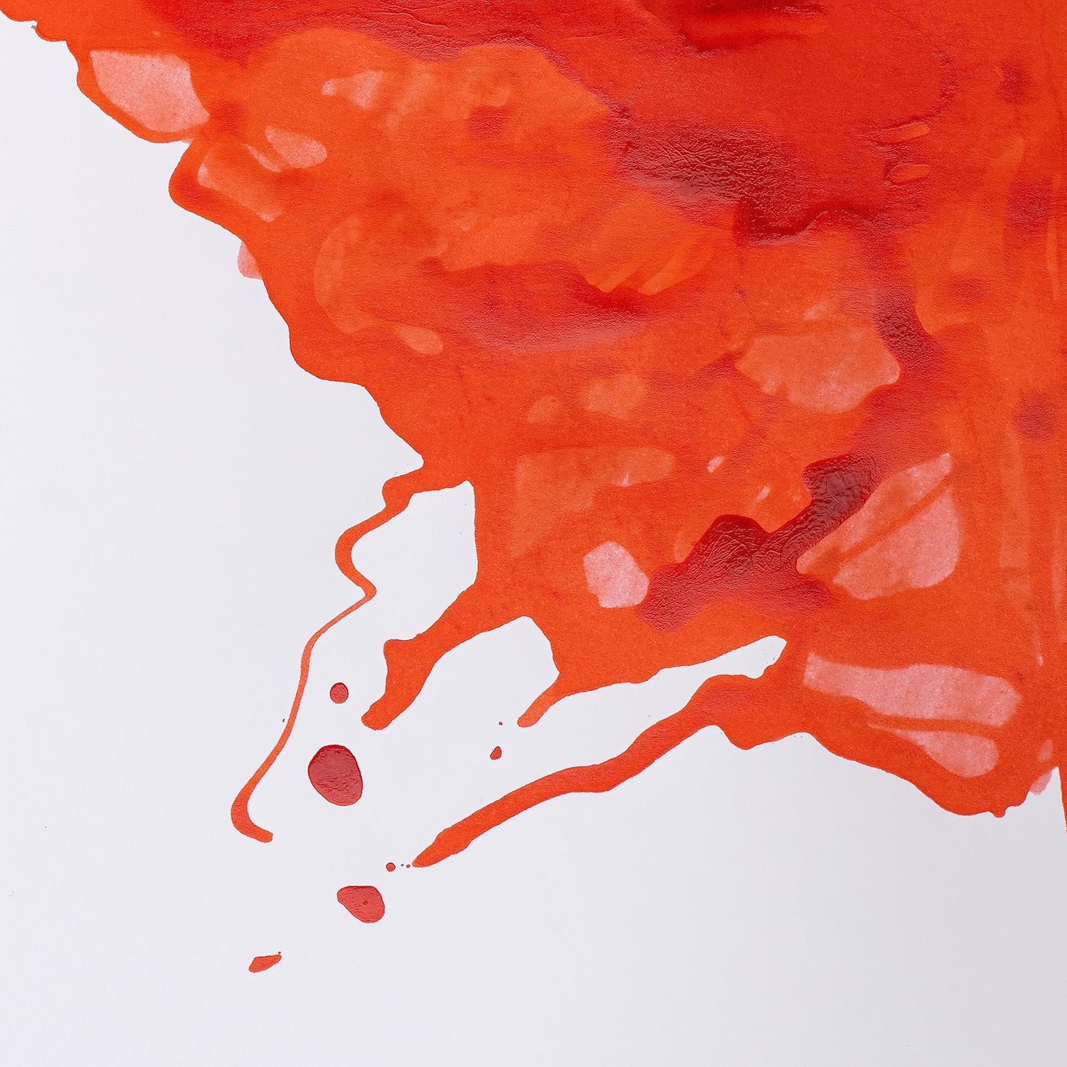 Detalle de Winsor & Newton Astuccio Intro William Collection: stile e funzionalità per chi ama la pittura
