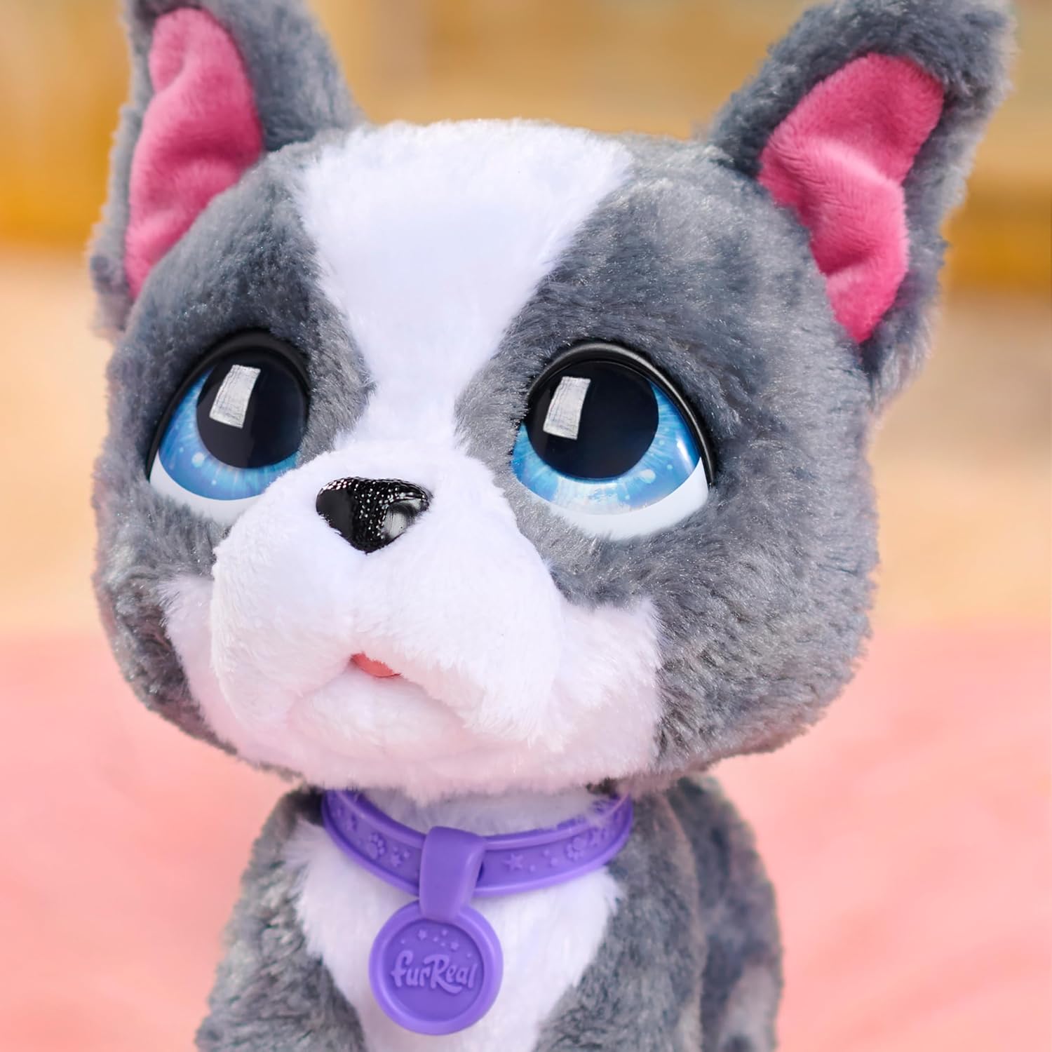 Thumbnail 1 de Just Play furReal Walk-A-Lots French Bulldog interactive toy (10 cm) with detachable leash