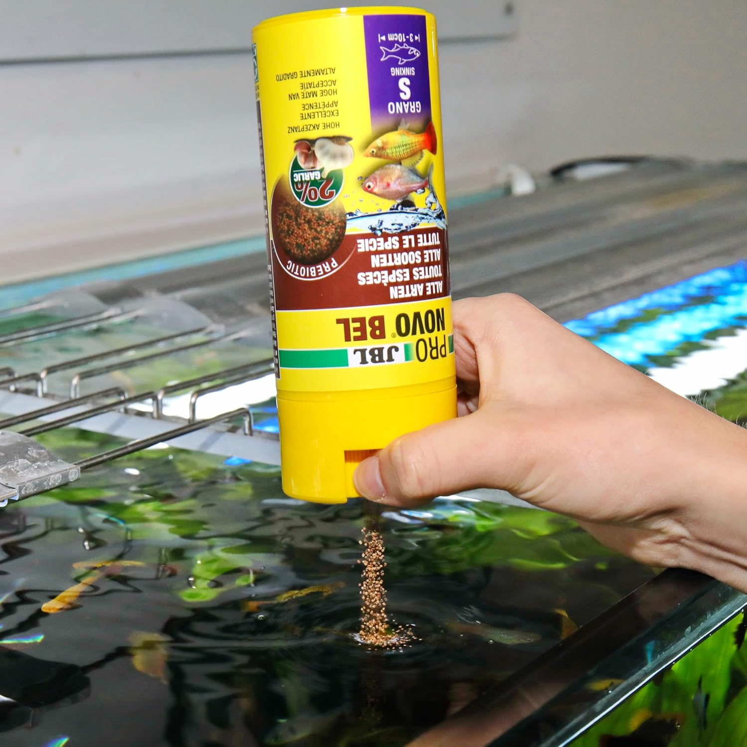 Thumbnail 1 de JBL PRONOVO BEL GRANO – Hauptfutter für Aquarienfische 3–10 cm, 250 ml (Click S)