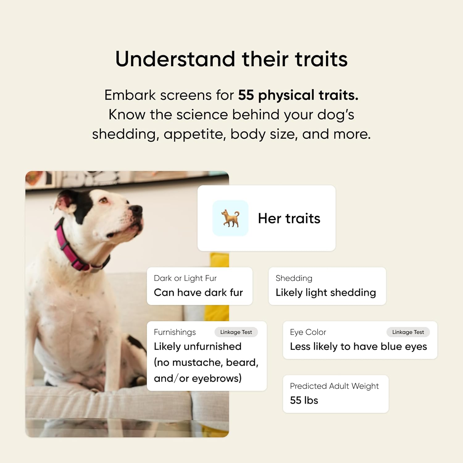 Detalle 2 de Embark Breed Health Kit Dog DNA Testing
