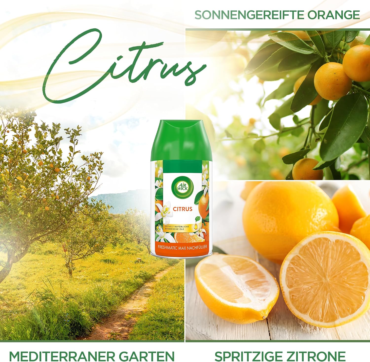 Detalle de Air Wick Freshmatic Max – Nachfüller Set Citrus, 6 x 250 ml