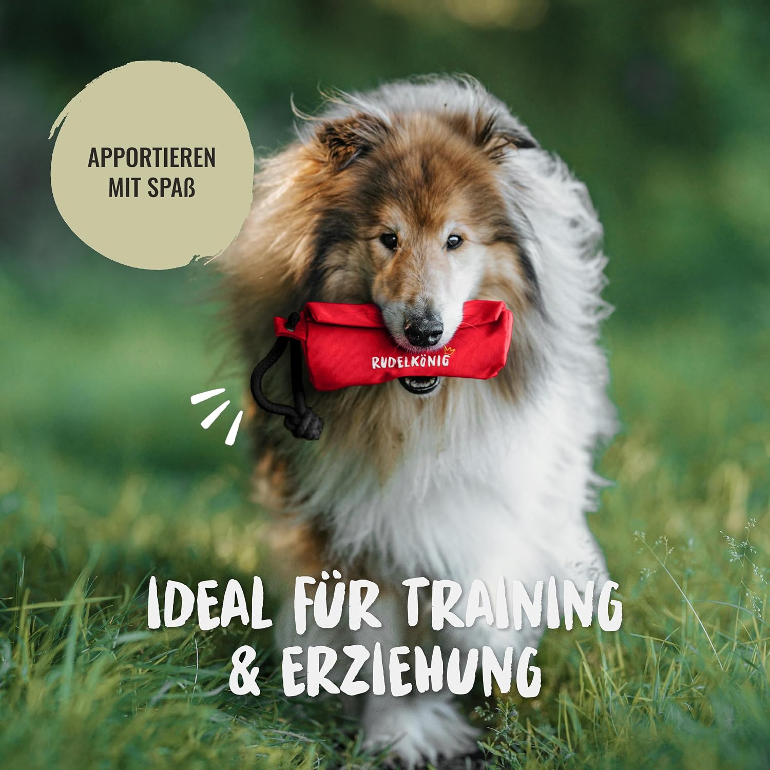 Detalle 2 de Rudelkönig Futterbeutel für Hunde – Apportierbeutel für Hundetraining mit robustem Verschluss
