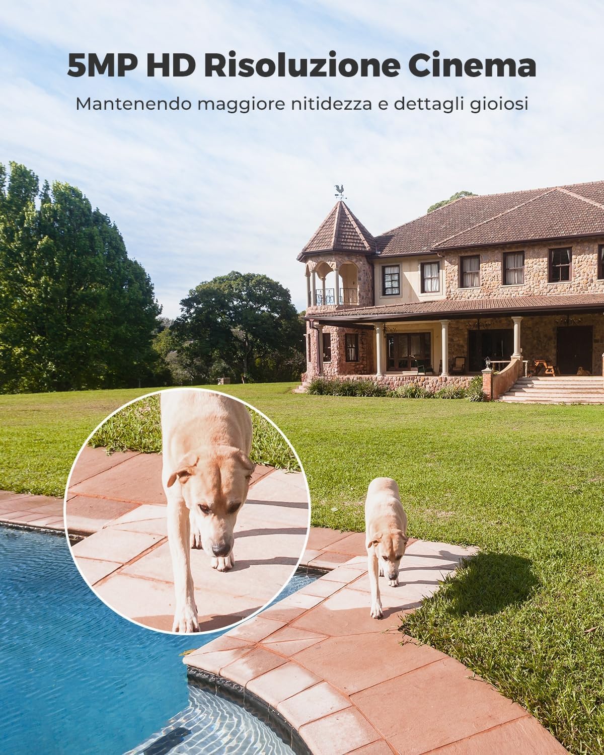 Thumbnail 1 de Reolink Argus 3 Pro 5MP Telecamera WiFi 2K