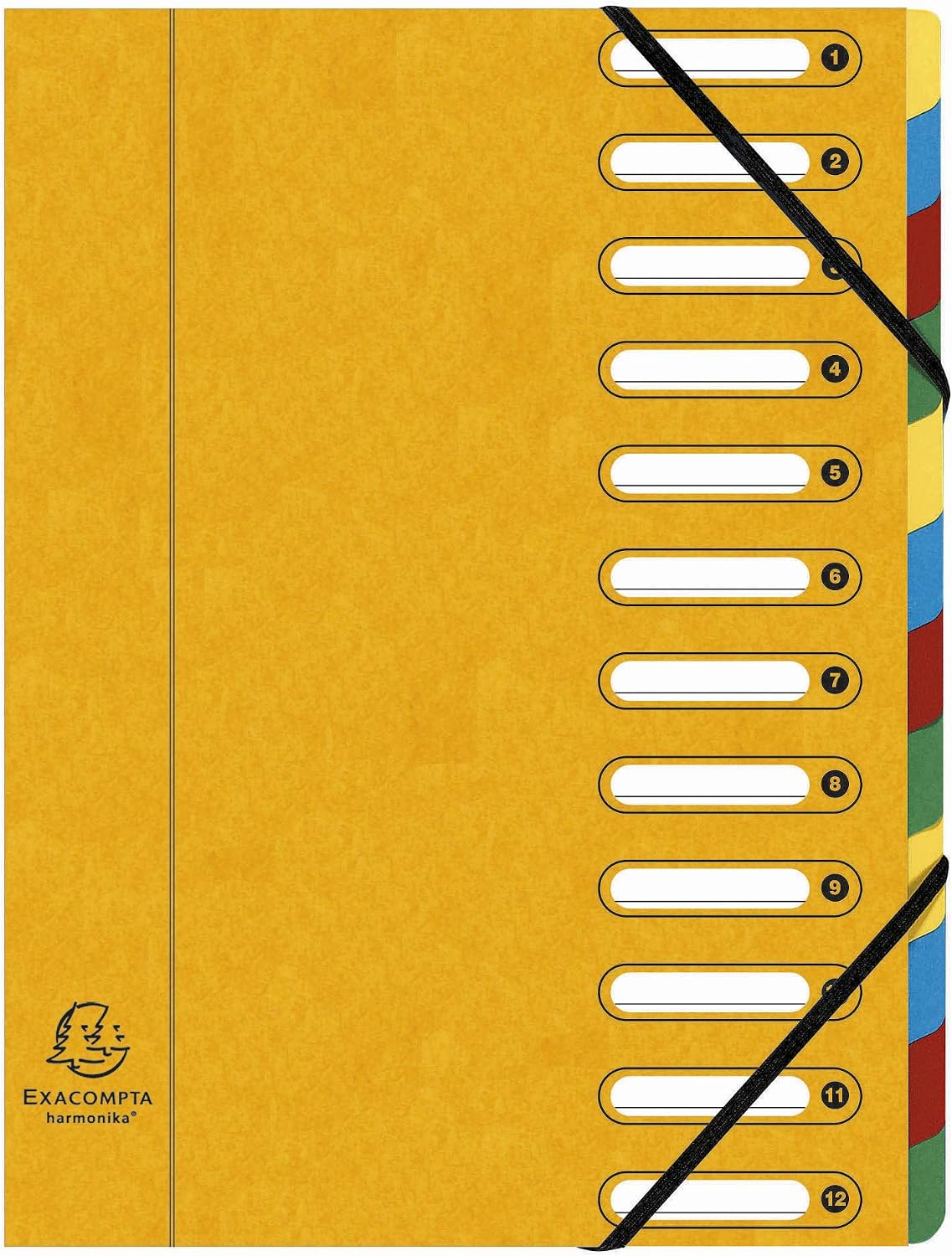 Detalle de Exacompta 5312E – Carton de 6 trieurs Harmonika (A4, 12 compartiments)