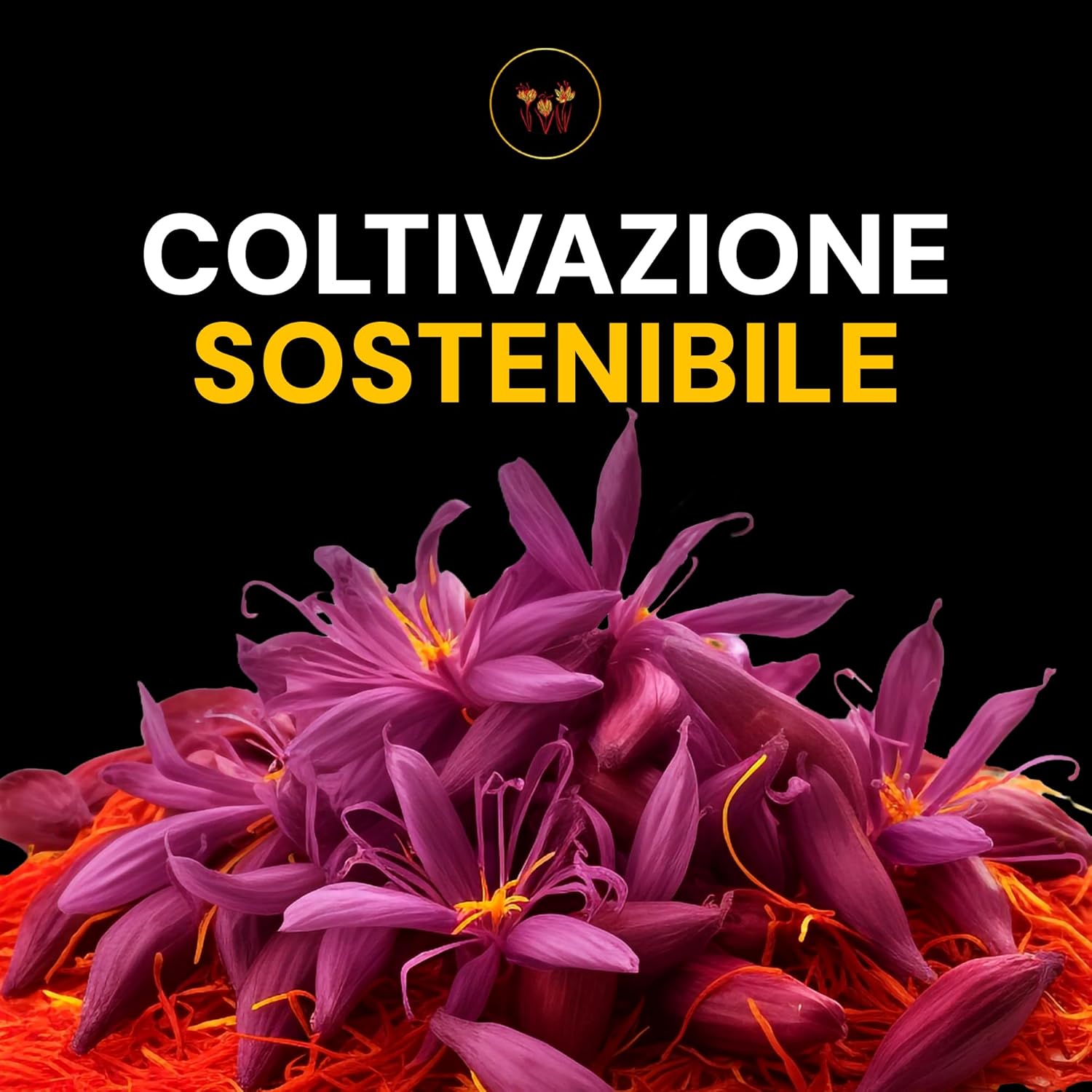Thumbnail 6 de Zafferano premium in polvere 5 g