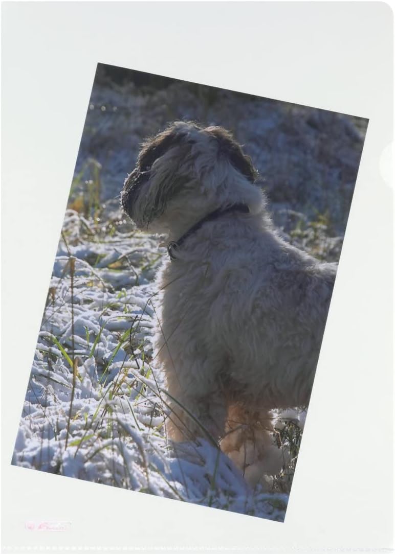 Thumbnail 2 de Herlitz 10843746 Aktenhülle A4 100er 📁