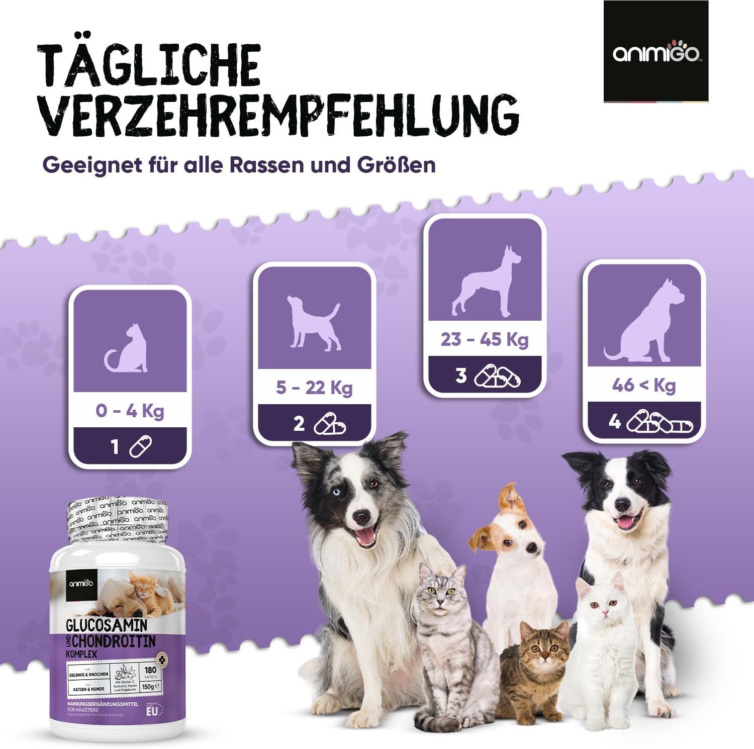 Thumbnail 6 de Glucosamin Chondroitin Komplex 180 Kapseln