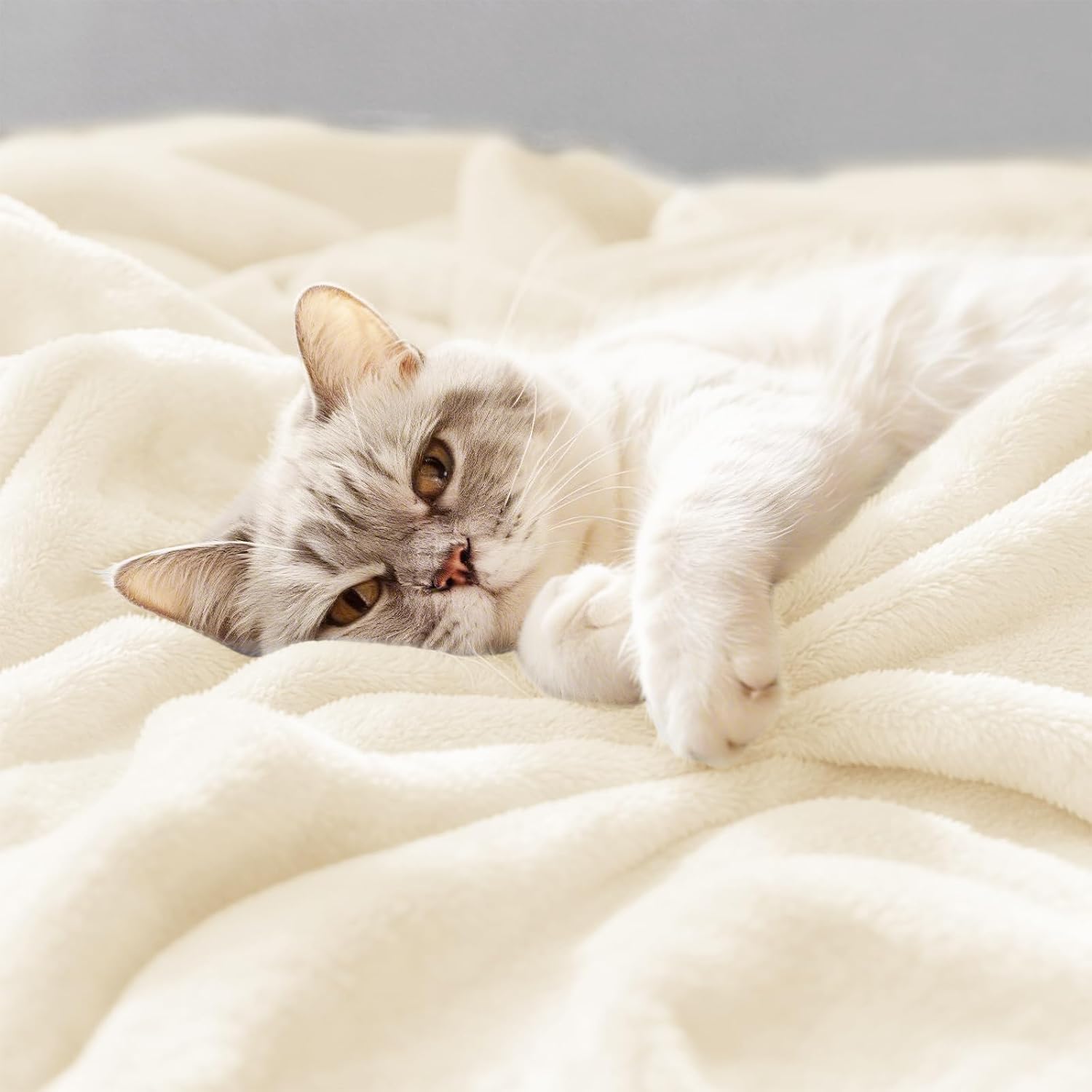 Detalle 2 de CozyLux Kuscheldecke Flauschig 150x200 cm – XL Flanell-Decke als weiche Sofa- und Wohndecke in Creme