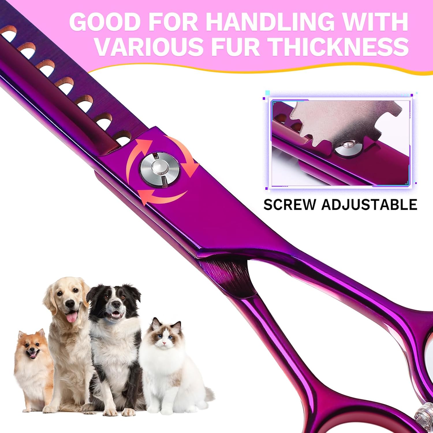 Thumbnail 3 de JASON Ciseaux à effiler professionnels pour chiens et chats – Ciseaux à fourrure japonais en acier inoxydable, 36 dents, violet (7,5 pouces)