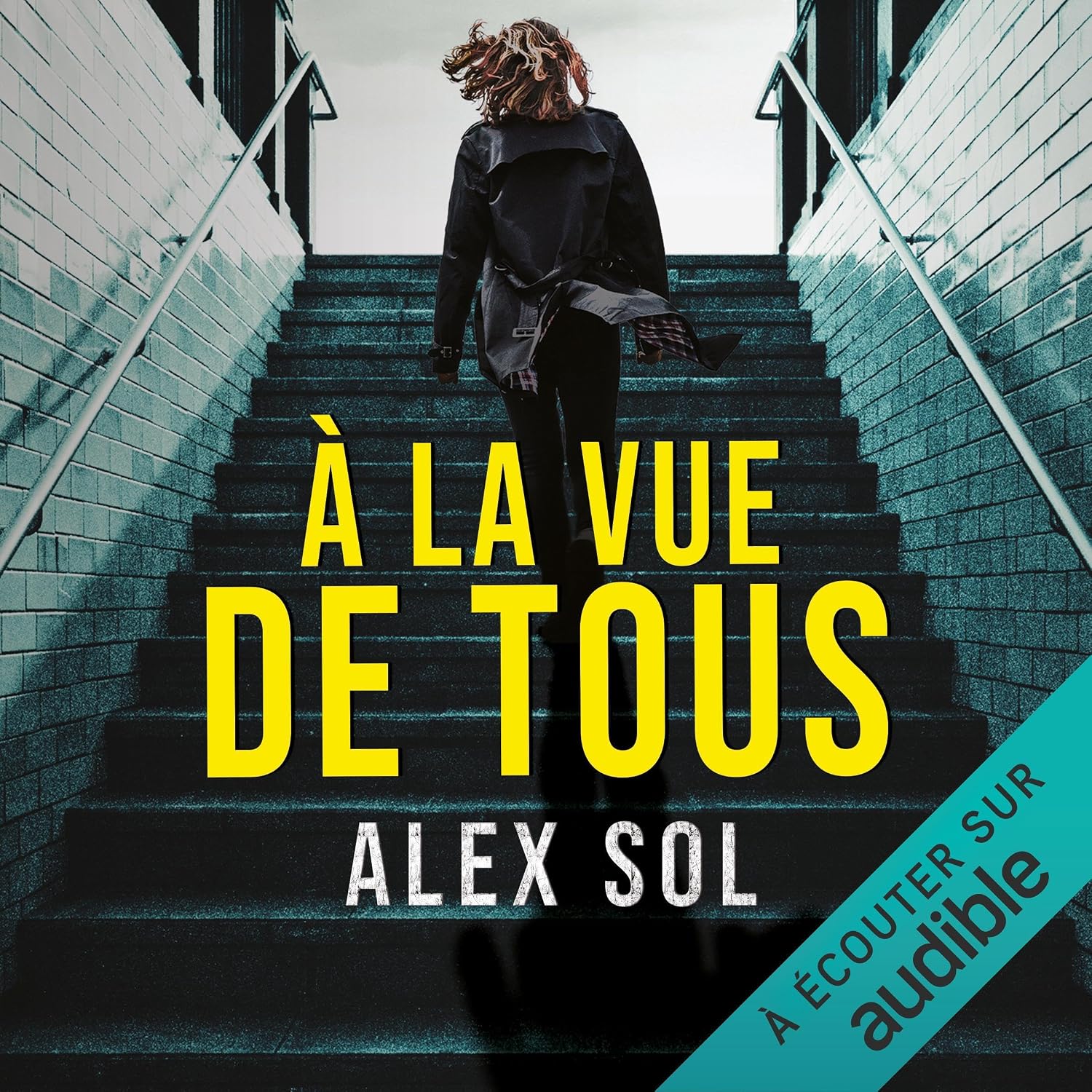 Detalle de À la vue de tous: Les enquêtes de Lucas Lievens et Elise Duromain — Unabridged Audiobook