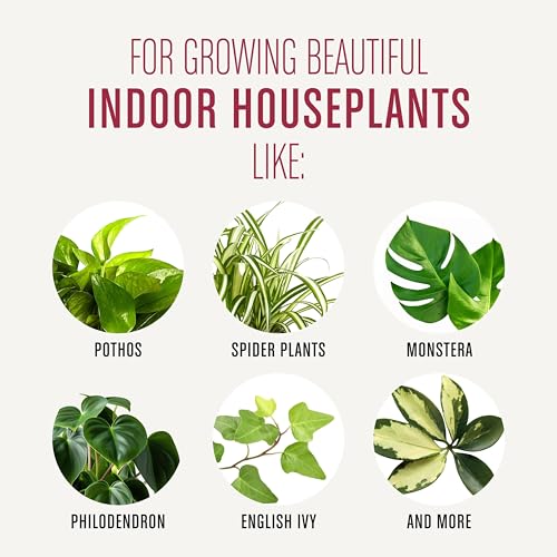 Thumbnail 6 de Miracle-Gro Houseplant Potting Mix, 4 qt: A practical indoor soil for thriving tropical plants