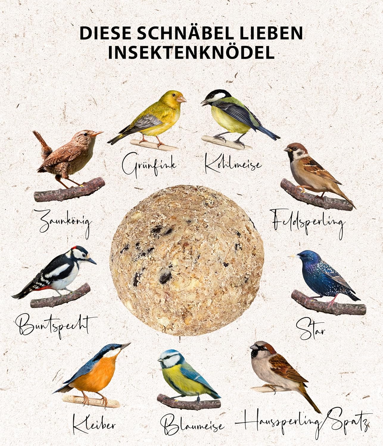 Detalle de Dehner Natura Premium Meisenknödel ohne Netz – Insektenknödel, proteinreich und ganzjährig sinnvoll