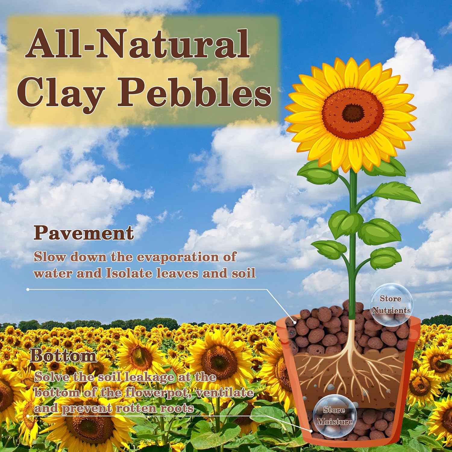 Detalle de Legigo L-CA-Clay Ball LECA Clay Pebbles, 4–16 mm, 2 lb