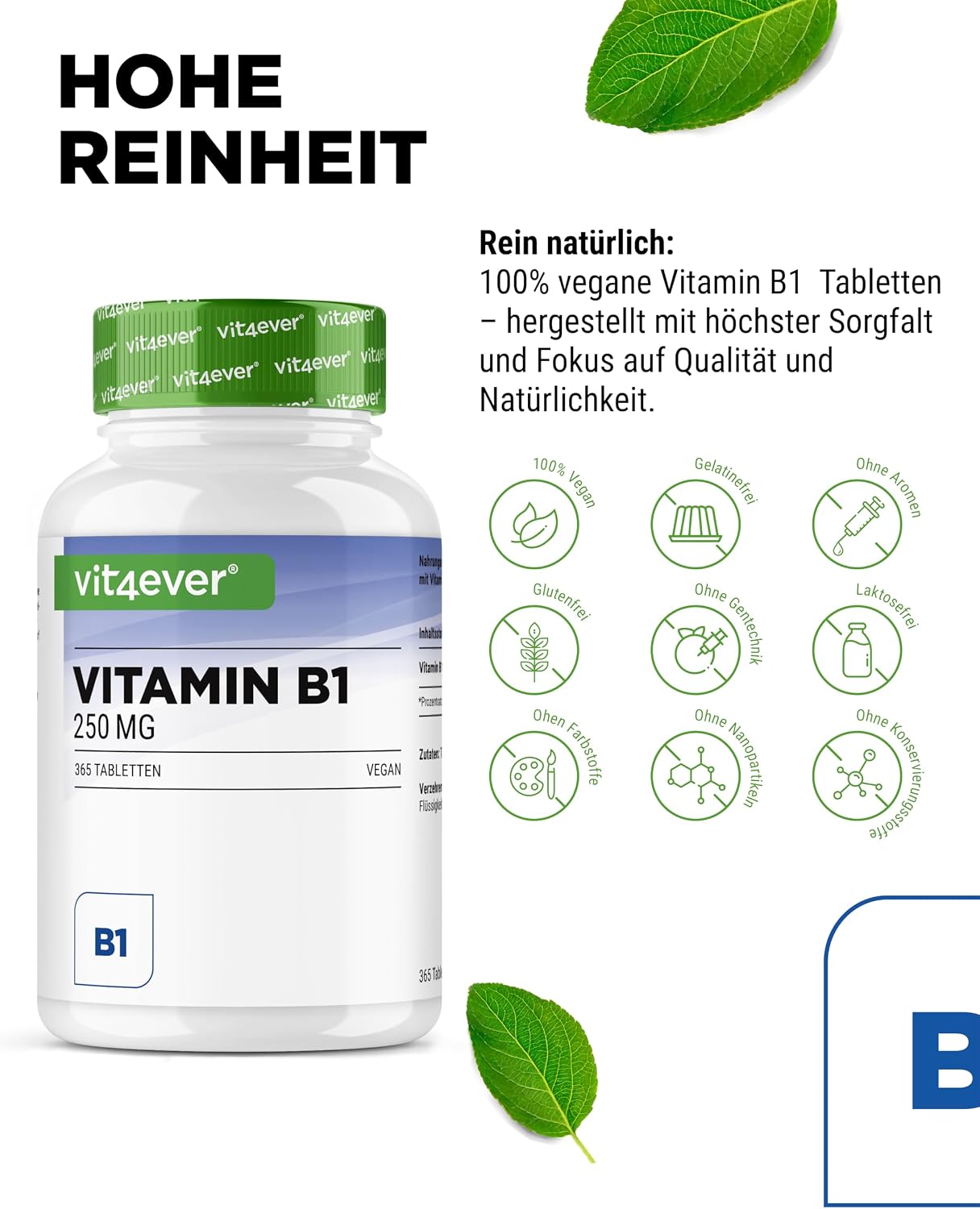Detalle de vit4ever Vitamin B1 (Thiamin) 250 mg – 365 Tabletten für 12 Monate (vegan)