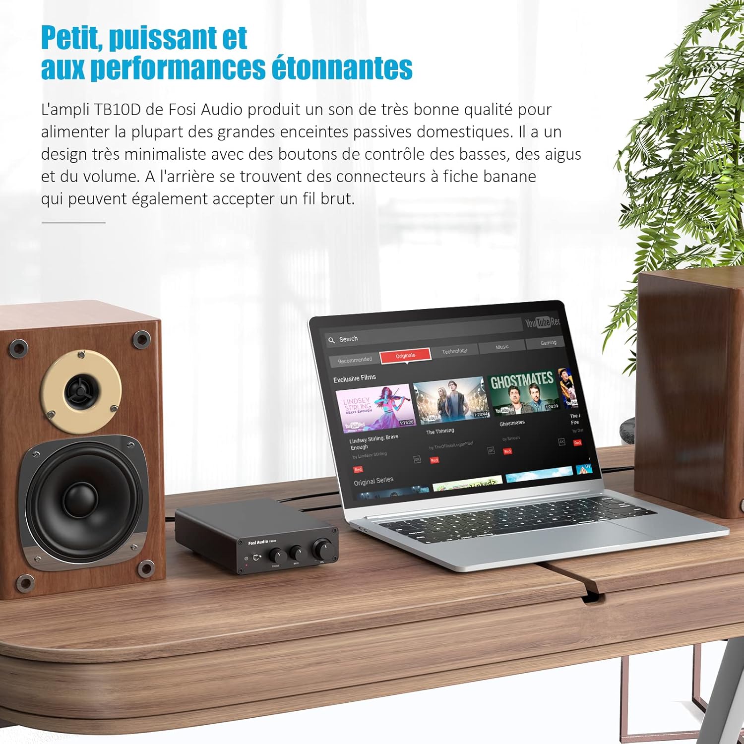 Detalle de Fosi Audio TB10D (TPA3255) mini amplificateur HiFi stéréo 2 canaux, entrée RCA, contrôle basses/aigus