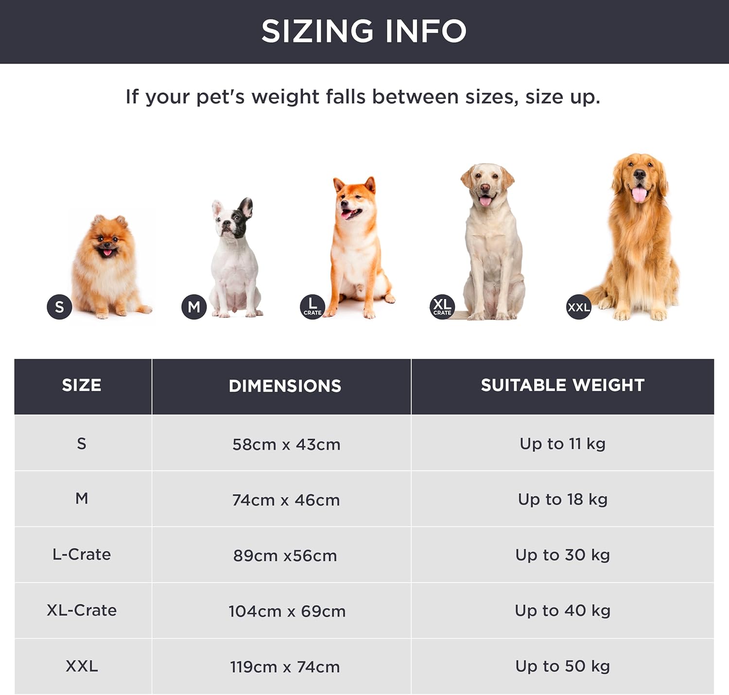 Thumbnail 4 de BEDSURE Hundematte 89x56 cm für mittelgroße Hunde