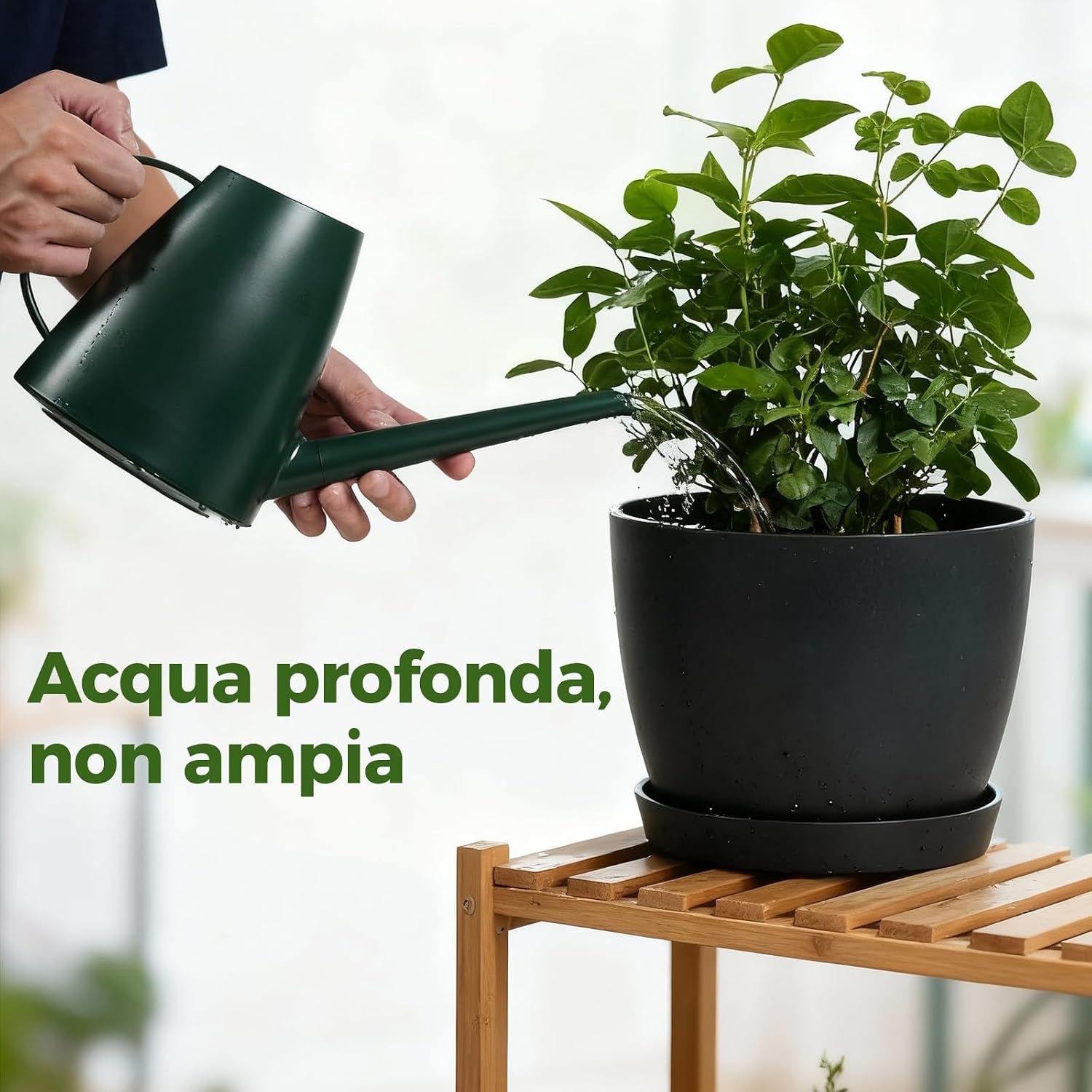 Detalle de Bamworld Annaffiatoio per Piante da Interno 1,8 L con Beccuccio Lungo e Doppio Ugello