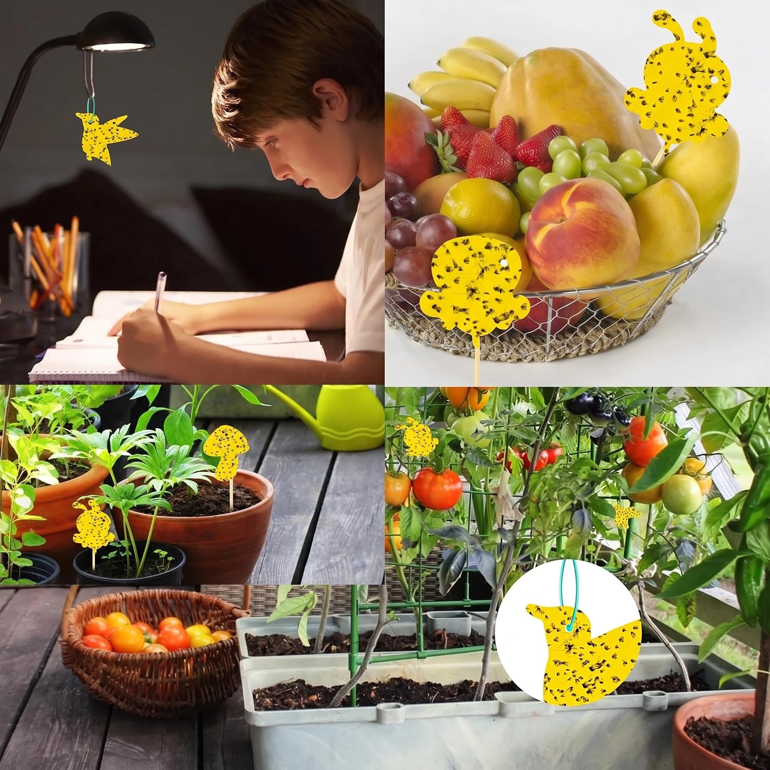 Detalle 2 de Stingmon 12 Pack Sticky Trap, 96-Pack Yellow Plant Pest Traps