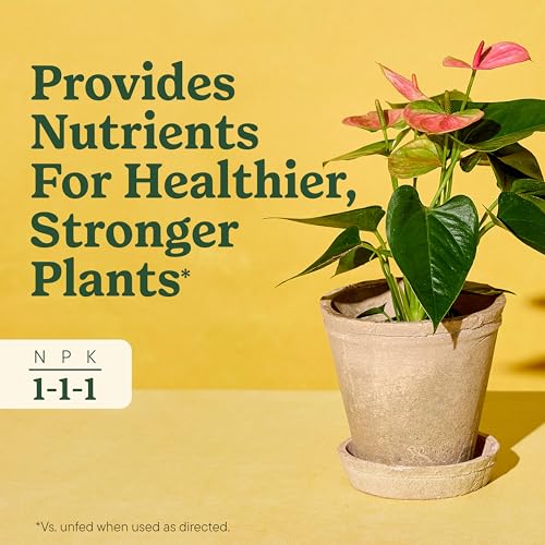 Detalle de Miracle-Gro Indoor Plant Food for All Plants, 8 fl oz (2-Pack)