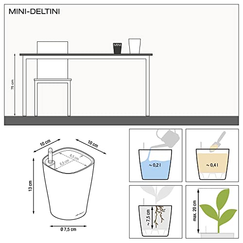 Thumbnail 6 de Lechuza 14950 Mini Deltini Kit Completo (Blanco) – Maceta con sistema de riego