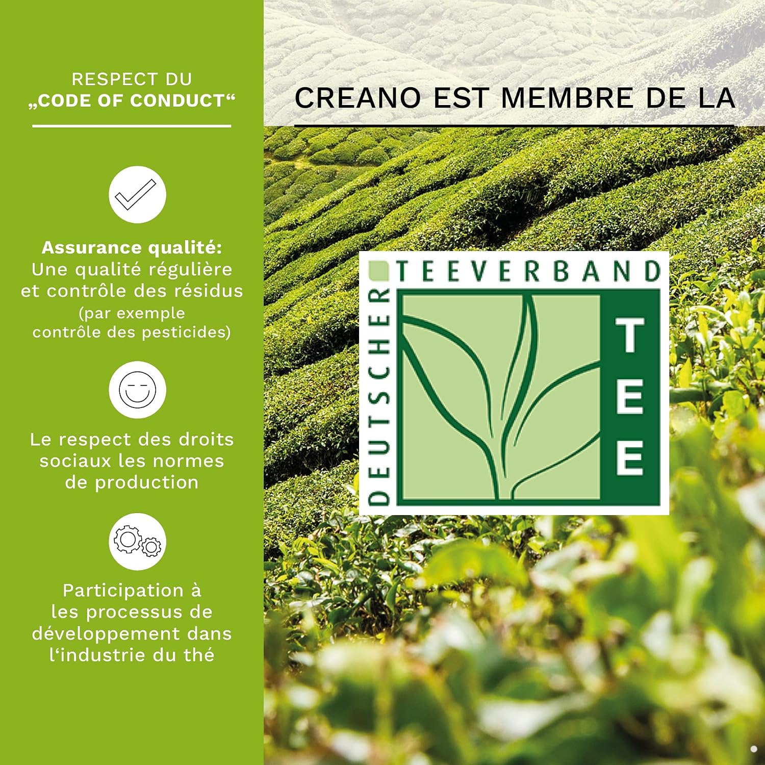 Thumbnail 3 de Creano Fleurs de Thé Verts – 12 pièces, Coffret bois premium, 6 saveurs fruitées
