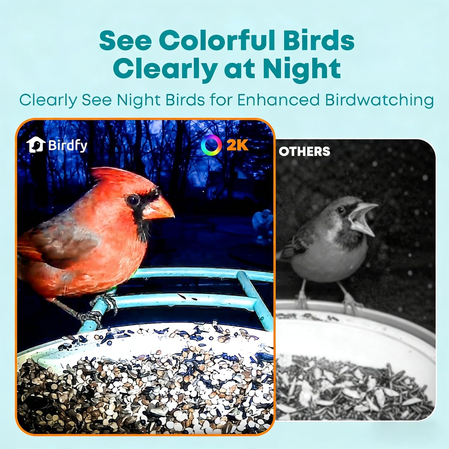 Thumbnail 3 de NETVUE by Birdfy Smart Bird Feeder with AI Camera