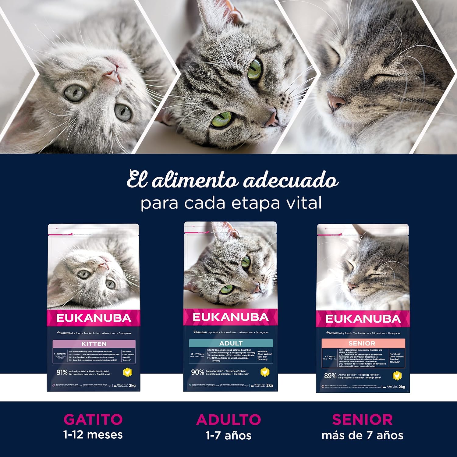 Thumbnail 5 de Eukanuba Alimento seco para gatos adultos 10 kg 🐱