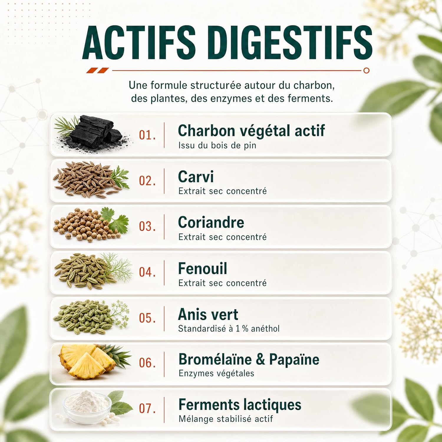 Detalle 2 de Charbon actif + Probiotiques | Digestion & Ballonnements – 30 gélules