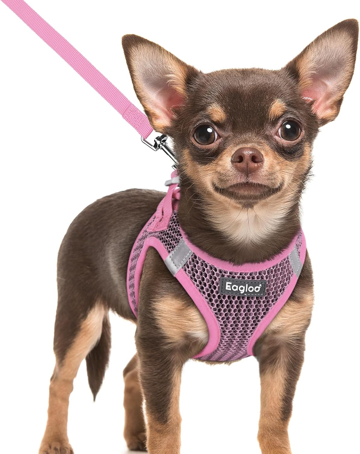 Detalle de Eagloo Small Dog Harness XXS