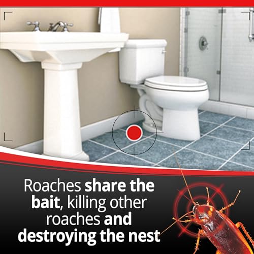 Thumbnail 8 de Combat Max Roach Killing Bait, Large Roaches, 8 Count