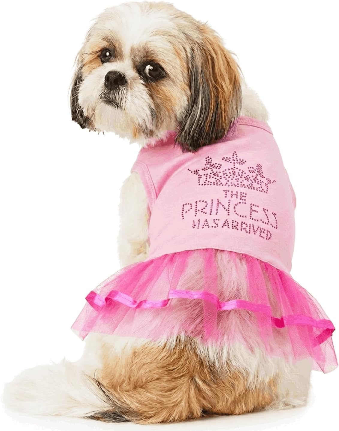 Detalle 1 de Dog Dress, Large
