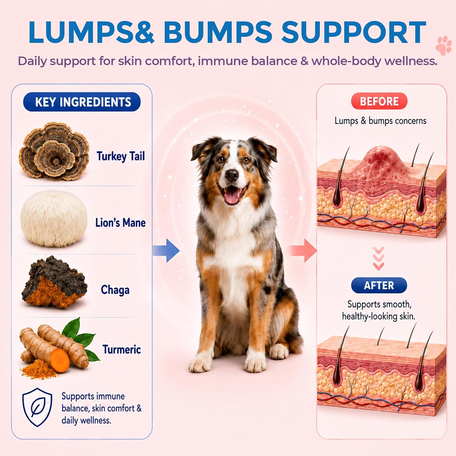 Detalle 2 de TailSphere Turkey Tail Mushroom Powder for Pets 180g
