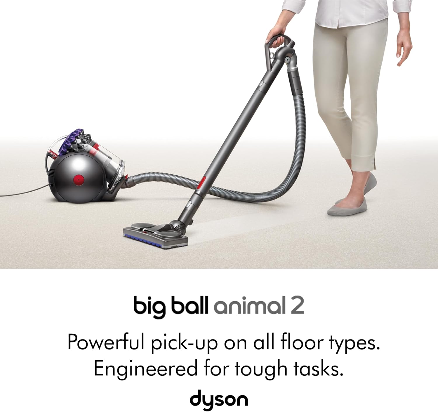 Thumbnail 1 de Dyson Big Ball Absolute 2: aspirapolvere a traino per pavimenti, con 19 cicloni e tecnologia Ball