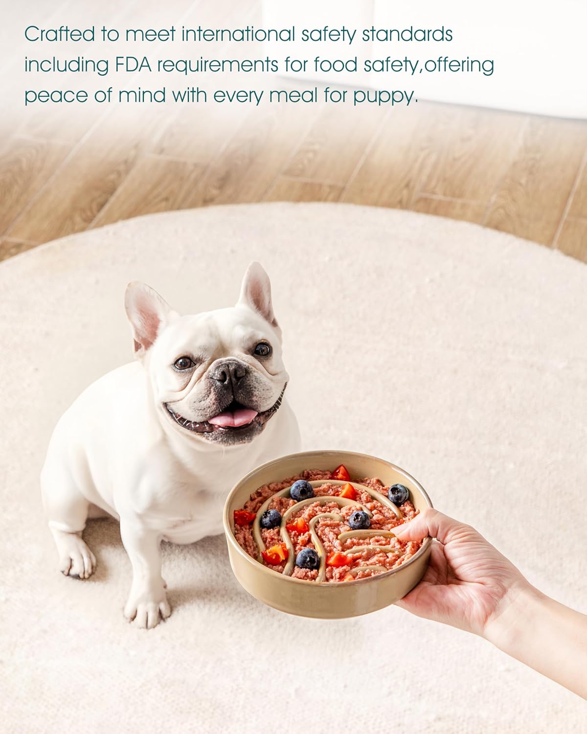 Thumbnail 5 de vancasso Slow Feeder Dog Bowl (0.6 Cup) ceramic puzzle dish for small breeds and kittens