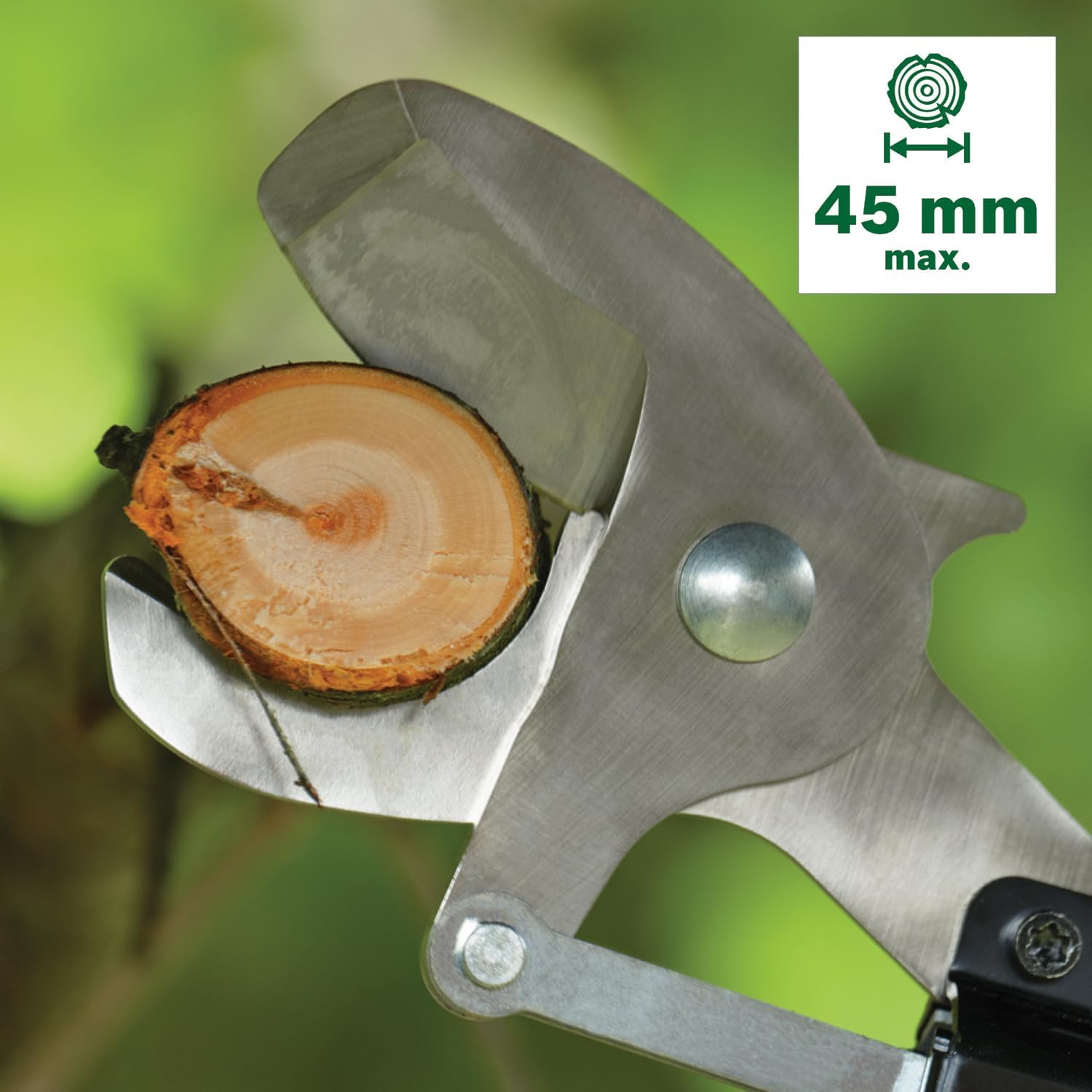 Thumbnail 1 de Sécateur sans fil Bosch AdvancedPrune 18V-45 avec barre d’extension (jusqu’à 45 mm)