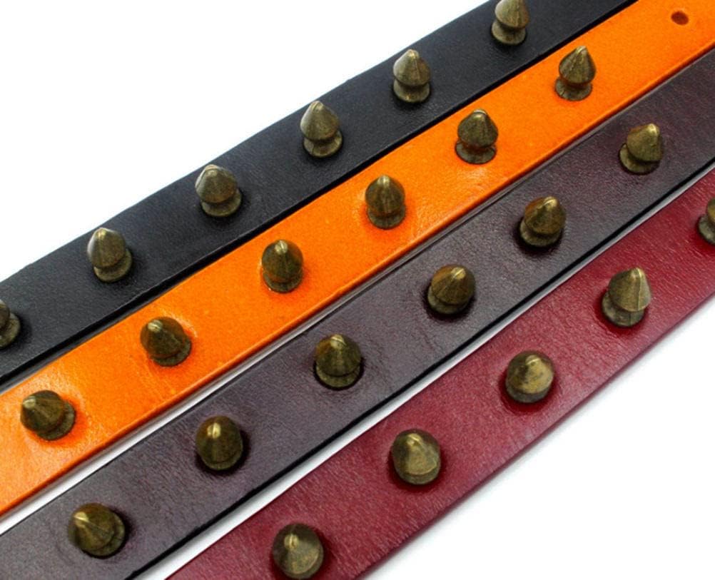 Thumbnail 1 de Spiked leather dog collar with rivet studs and adjustable buckle (black) for small to large dogs