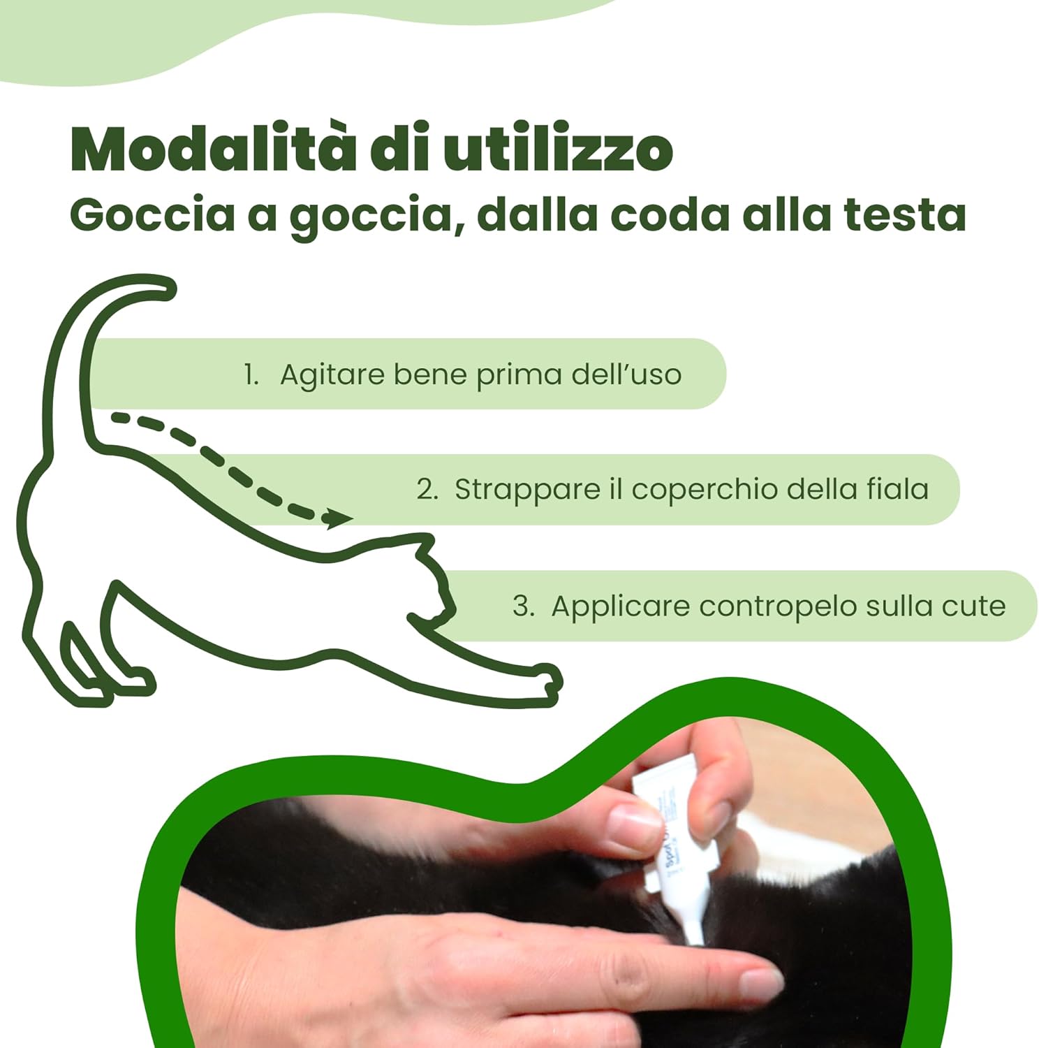 Thumbnail 3 de CAMON Spot-On Protection Gatto con olio di neem e aminoacidi, 5 fiale da 2 ml