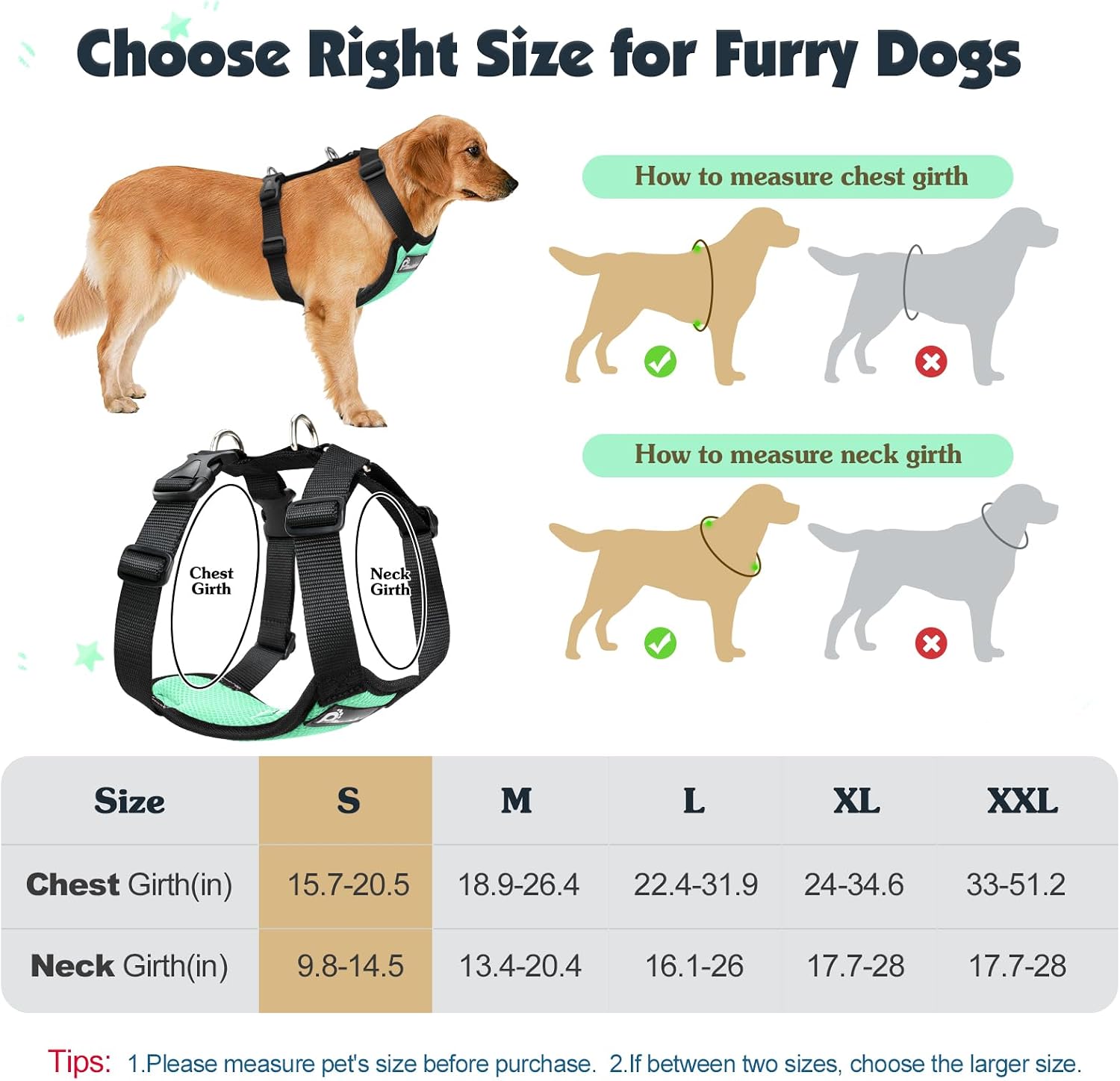 Detalle 2 de Pawaboo dog seat belt harness (double clips, adjustable vest, elastic bungee) – Light Blue & Black, size S