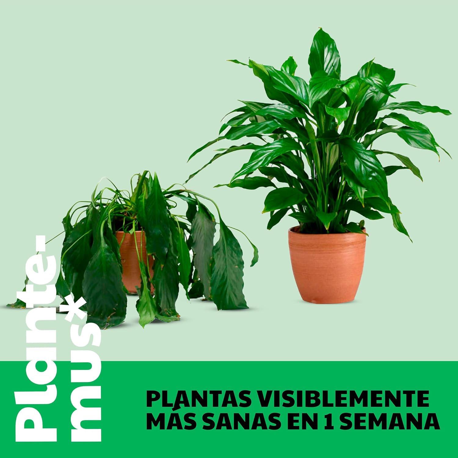 Thumbnail 2 de PLANTEMUS BIOrganic Abono Líquido Plantas Verdes 🌱