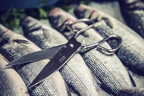 Thumbnail 3 de ARCOS Ecopro 200 mm — tijeras de cocina ergonómicas